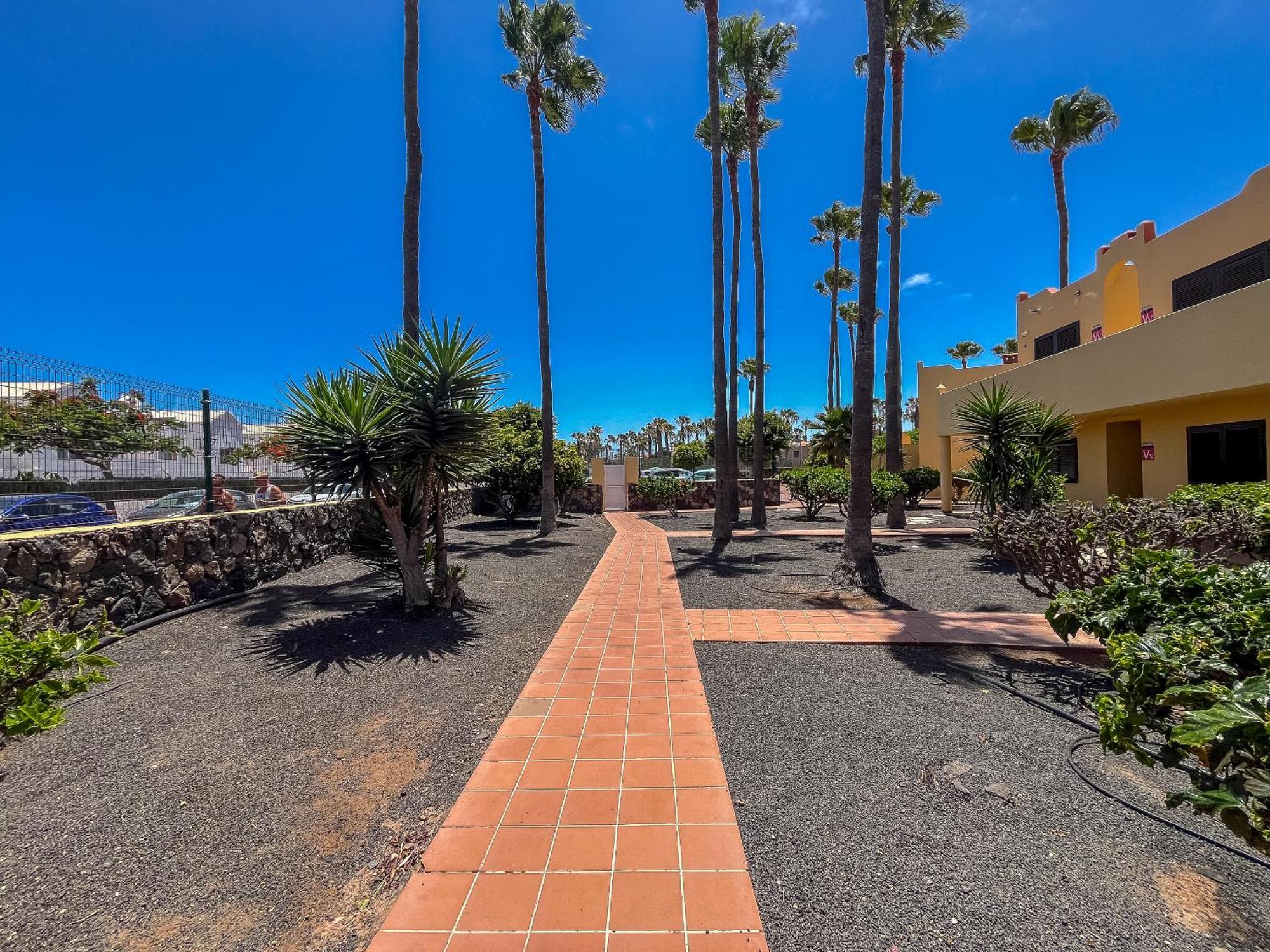 Apartamentos Oasis Royal Corralejo F314 エクステリア 写真