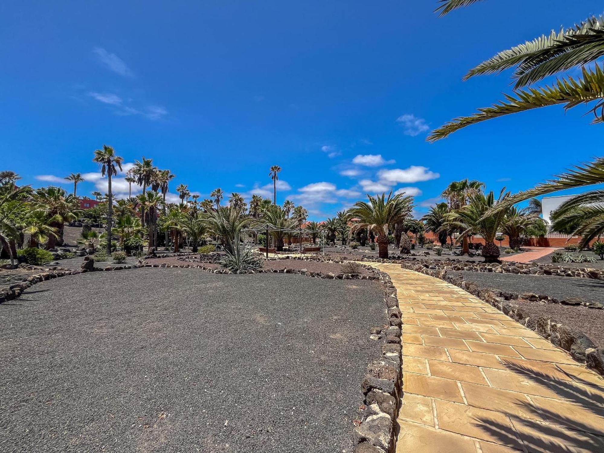 Apartamentos Oasis Royal Corralejo F314 エクステリア 写真